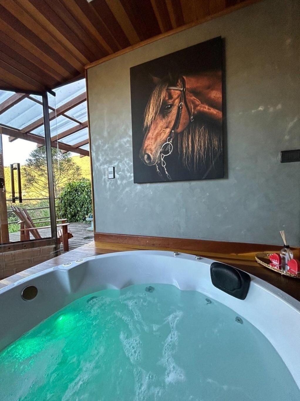 Refugio Horse Villa Santo Antônio do Pinhal Екстериор снимка
